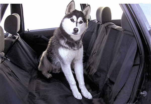 Чехлы для перевоза собак в автомобиле