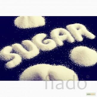 На постоянной основе, на экспорт сахар.