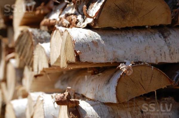 Заготовка и доставка березовых дров