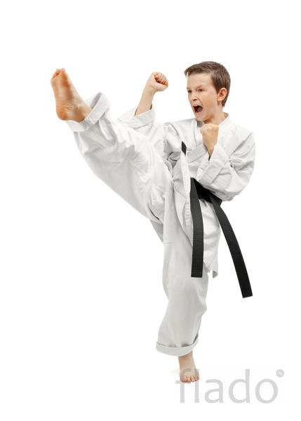 Детский домашний тренер по каратэ Kyokushinkai