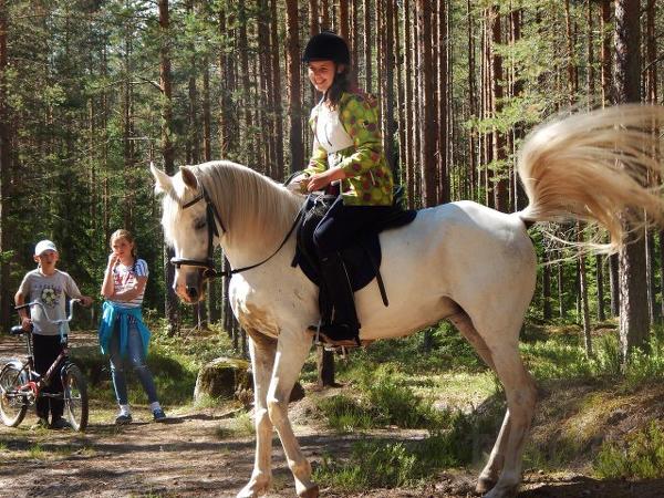 Верховая езда для взрослых и детей в Вырице, Гатчинский район