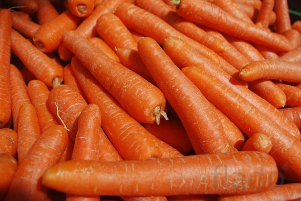 продаю морковь оптом от производителя