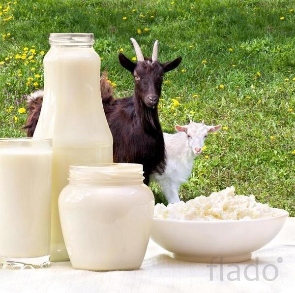 Козьи молочные продукты и парное молоко