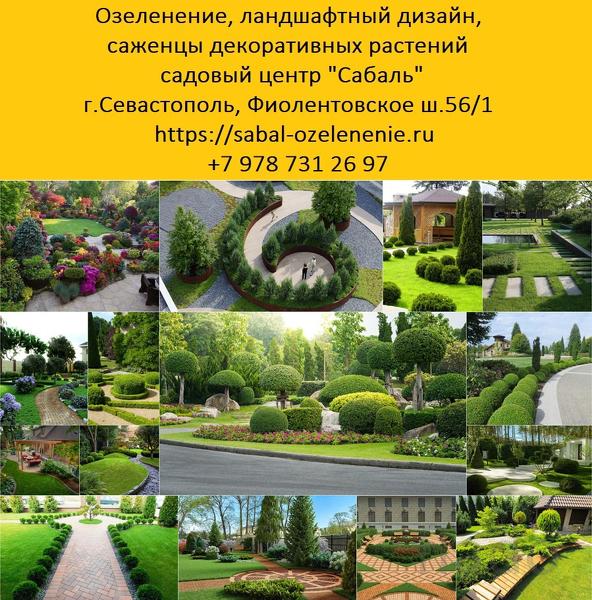 Озеленение участка в Севастополе и Крыму. Купить декоративные саженцы