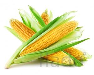 Реализуем кукурузу
