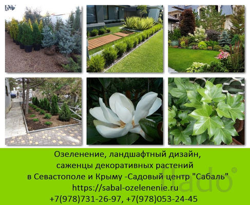 Озеленение участка Севастополь, Крым. Ландшафтный дизайн