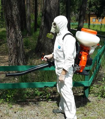 Уничтожение муравьев в Московской области