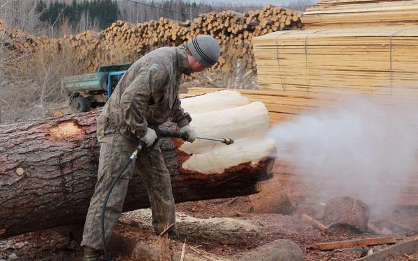 Фумигация древесины в Московской области