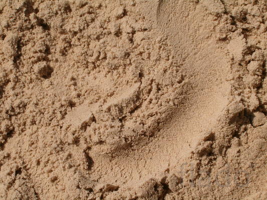 Намывной сеяный песок в мешках