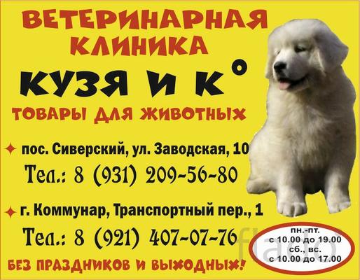"Кузя и К", ветеринарные клиники в Сиверском и в Коммунаре Гатчинского