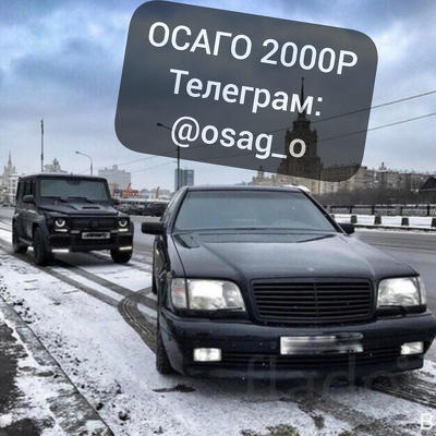 осаго без выплат