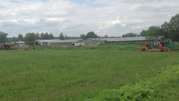 Животноводческая ферма