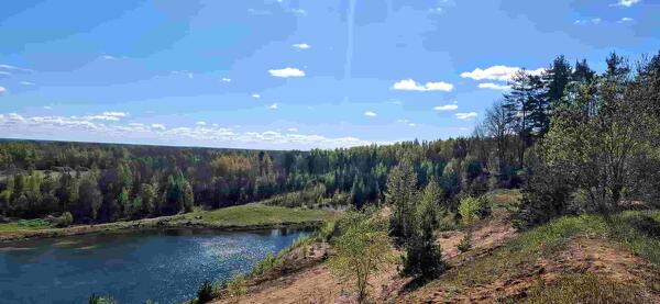 Участок 56 сот. (ИЖС)