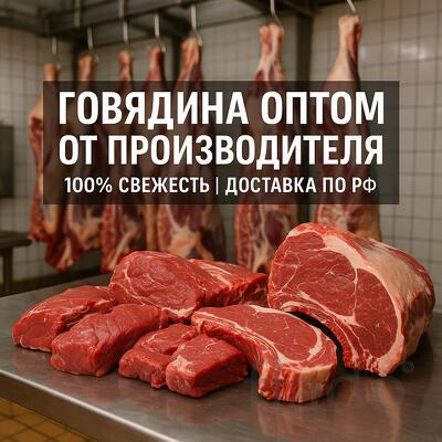 Оптовая продажа мяса говядины