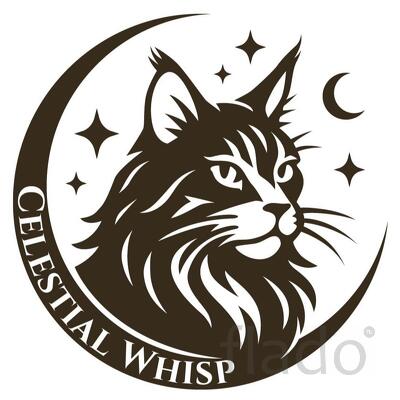 Celestial Whisp – Питомник породистых кошек Maine Coon