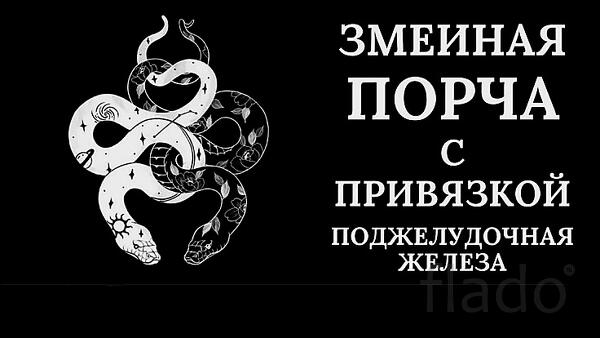Москва. Чёрная Магия. Змеиная Порча На Заболевание Поджелудочной