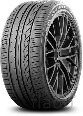 Шины Rydanz Roadster R02