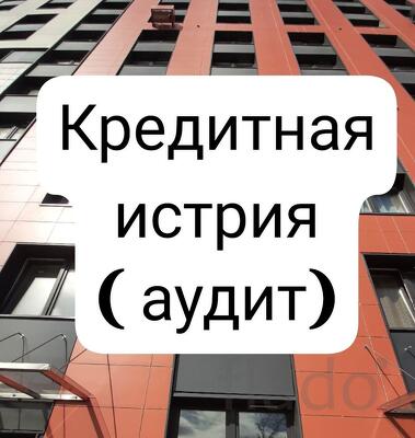 Кредитная история (аудит)