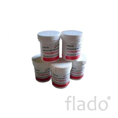Паста «Уровень-Н»