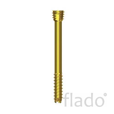 2.5mm Double Heads Compressive Cannulated Screw