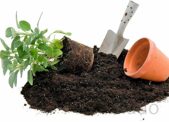 Почвогрунт