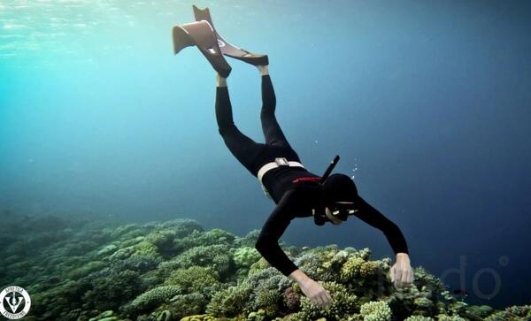 Нырни в водный мир - мир фридайвинга