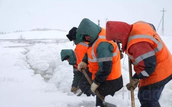 Заключить договор на уборку снега СПб