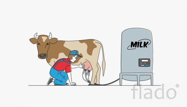 Оператор машинного доения с проживанием