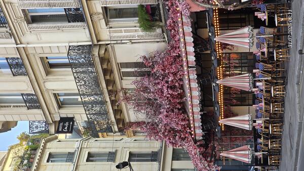 Предлагаю услуги по доставке документов и корреспонденции Париж Москва