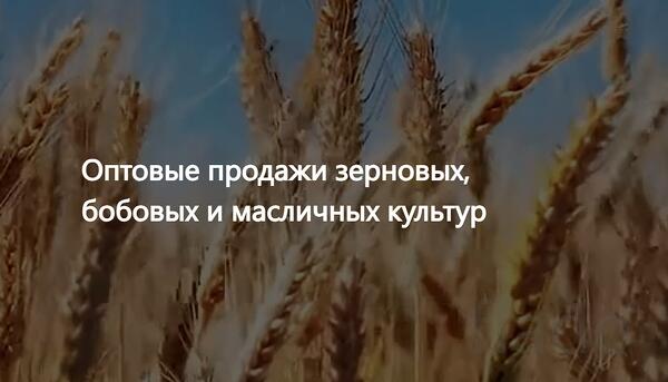 ООО Агропром - оптовая реализация продуктов питания экспорт