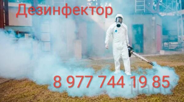 Уничтожение клопов и тараканов