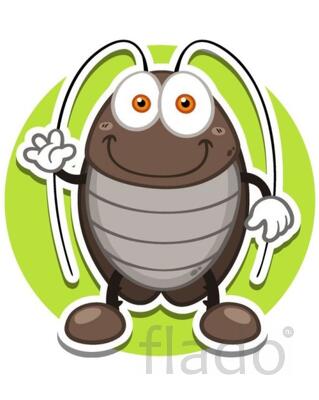 Дезинфекция от клопов и тараканов