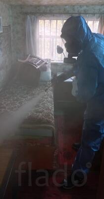 Уничтожение клопов