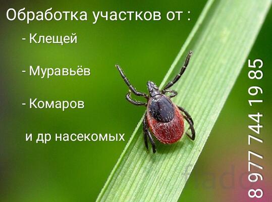 Избавление от кротов