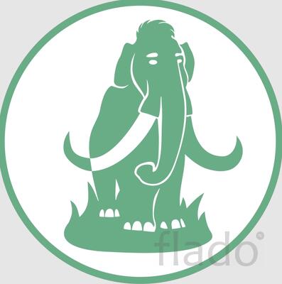 Стоматологическая клиника мамонтова АА