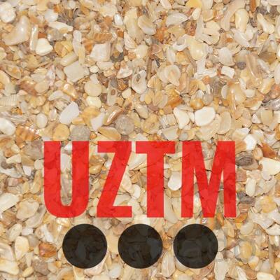 Ракушка фракционная (морская ракушка)