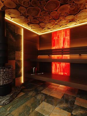 Премиальная баня 20 фт за 2,5 млн - только одна по специальной цене