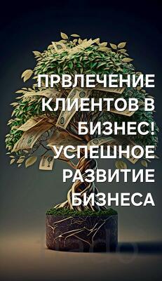 Владимир. Привлечение Клиентов в Бизнес. Привлечение Партнёров