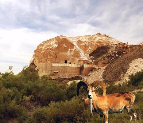 Такси Актау по святым местам Бекет-Ата (Шопан Ата) Караман-Ата