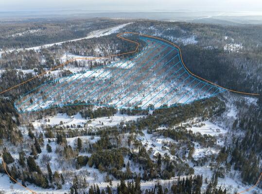 Участок 5800 сот. (промназначения)