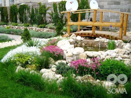 Декоративные пруды