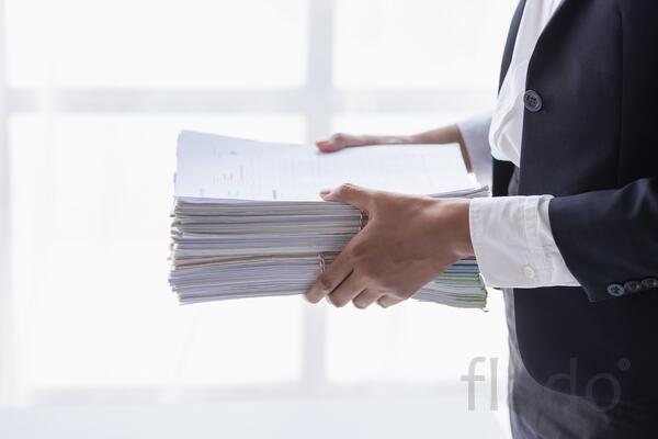 Лесная декларация подача СПб