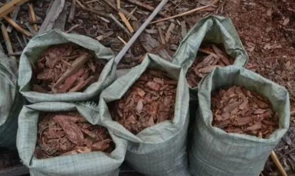 Кора сосновая в мешках