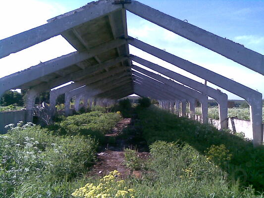 Аренда здания 1200 м2 на участке от 3 га под теплицу, конюшню