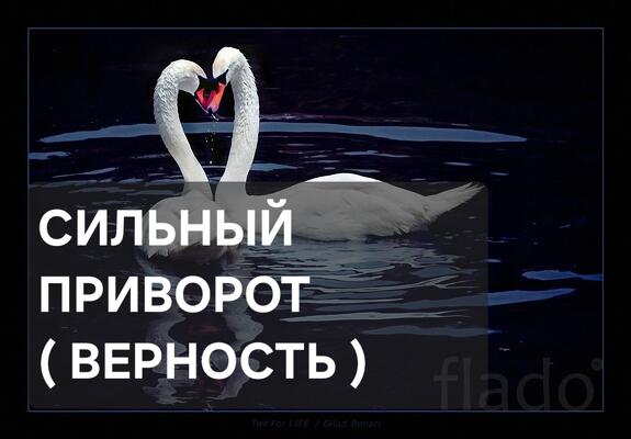 Санкт-Петербург. Чёрный Приворот ( Верность ) На Любовь