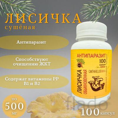 Лисичка обыкновенная