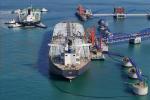 Нефть, дизельное топливо NE590 экспортные поставки