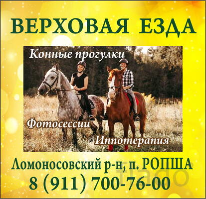 Вольная верховая езда на лошадях в Ропше