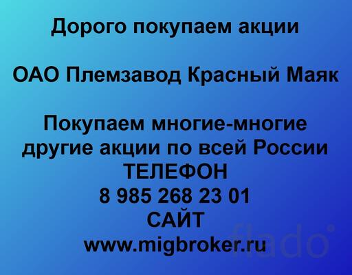 Покупаем акции ОАО Племзавод Красный Маяк и любые другие акции