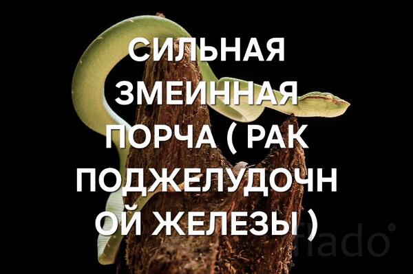 Киров. Змеинная Порча с ( Привязкой на Рак Поджелудочной Железы )